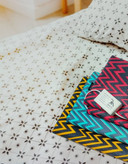 تشگ برقی راویس